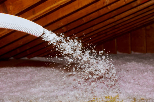 Best Crawl Space Insulation  in Watervliet, NY