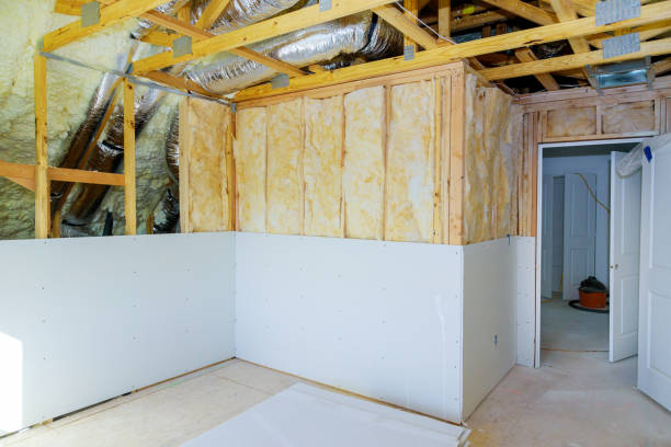 Best Insulation Removal  in Watervliet, NY