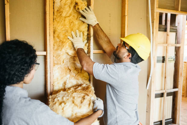 Best Wall Insulation Contractor  in Watervliet, NY
