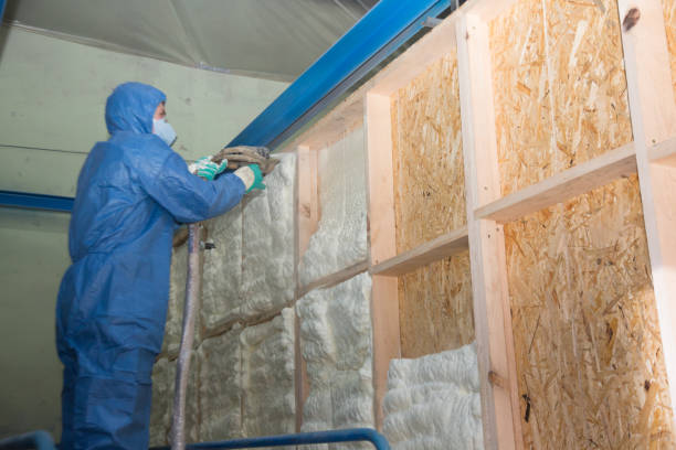 Best Insulation Replacement Services  in Watervliet, NY