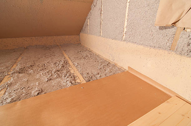 Best Insulation Removal  in Watervliet, NY